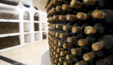 Putin’s wine removed from display at Moldovan winery