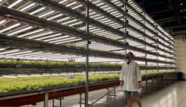 More indoor ag growers prioritizing renewable energy