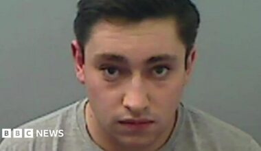 Middlesbrough paedophile who stalked and stabbed girl jailed - BBC News