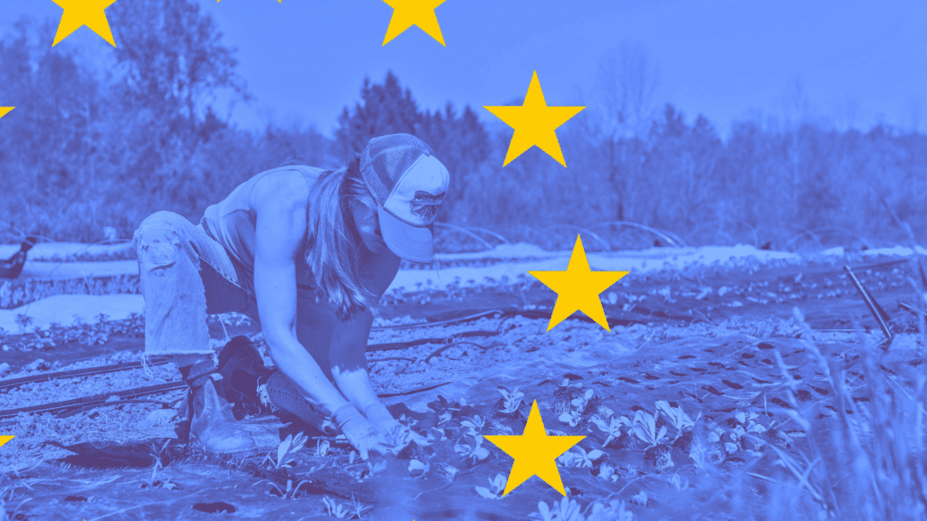 Polish EU Presidency Must Prioritise Common Agricultural Policy Reform  ⋆ Visegrad Insight