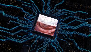 Poland’s AI Ambitions Curbed by US Chip Restrictions ⋆ Visegrad Insight