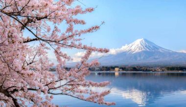 Vietnam, Japan, Portugal among 2025’s most buzz-worthy destinations, What Canadian travel advisors say you need to know?