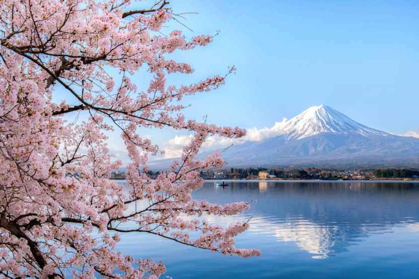 Vietnam, Japan, Portugal among 2025’s most buzz-worthy destinations, What Canadian travel advisors say you need to know?