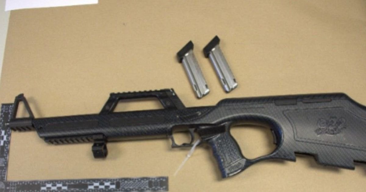 Police raid home and find arsenal of guns in bedroom and behind sofa