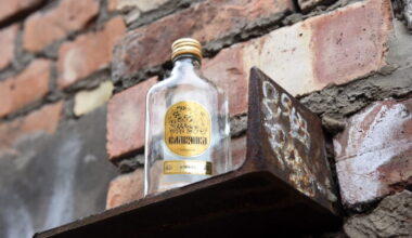 Alcohol dependence in Latvia – public illness and a plague on healthcare system