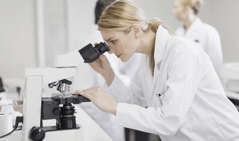 Adalid Sciences