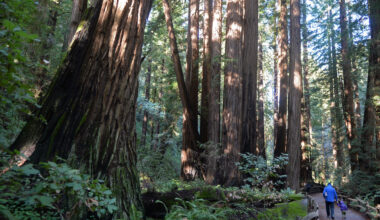Marin climate change risks assessed in 'biosphere' report