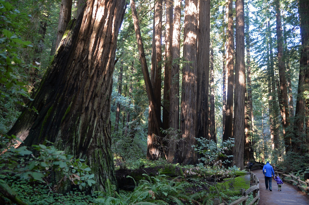 Marin climate change risks assessed in 'biosphere' report