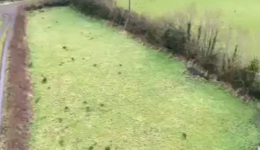 Scale of damage to the electrical grid