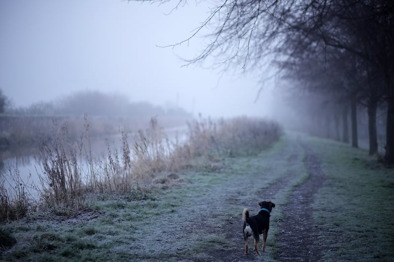 Cold mist and frost on the banks of the Royal Canal in north Dublin today, as the cold snap continues with temperatures hovering around -3 degrees today. Photograph: Chris Maddaloni/The Irish Times