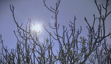 Improved Weather on Wednesday in Greece; Still Icy, Cloudy