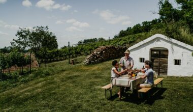 Austria’s wine exports to fall back in 2024, trade body says