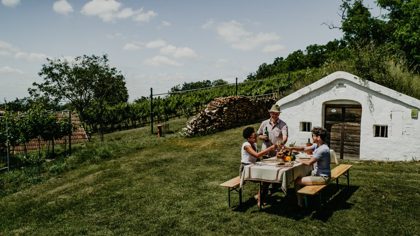 Austria’s wine exports to fall back in 2024, trade body says