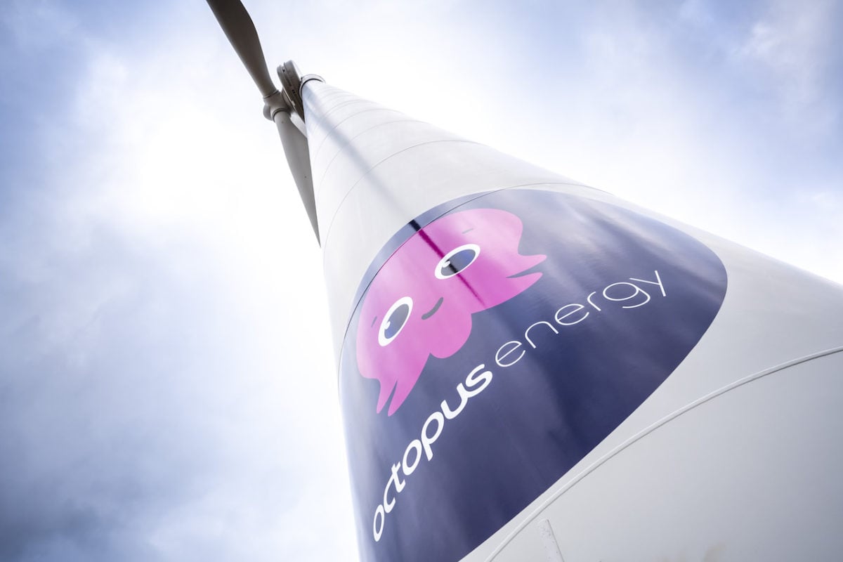 Octopus Energy acquires agriPV developer OX2 France