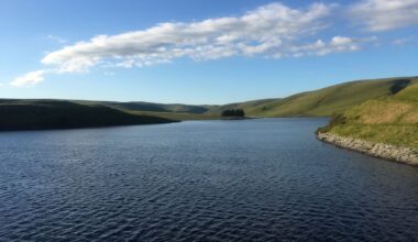 Rainfall increases water storage in Algarve dams to 41%