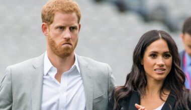 Prince Harry Accused Of 'Verbally Annihilating' The Royal Family