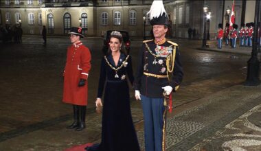 Denmark's 'missing' prince back on royal duty