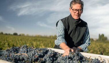 The Winemakers Reviving Malbec in Its Ancestral Land of Cahors, France
