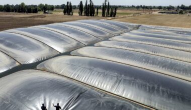 Environmental groups sue over California support for polluting biofuels – AgriNews