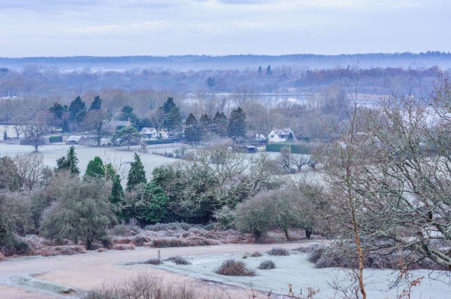 Alamy Live News. 2S1H3B1 Rockford Common, New Forest, Ringwood, Hampshire, England, UK, 4th January 2025, Weather: Cold and frosty and overcast morning. A weather system moving in from the south west will bring rain and snow later. Paul Biggins/Alamy Live News This is an Alamy Live News image and may not be part of your current Alamy deal . If you are unsure, please contact our sales team to check.