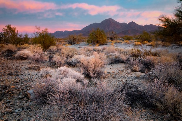 President Biden on Tuesday Jan. 7, 2025 established the Chuckwalla National Monument, a 624,000-acre protected area in the Southern California desert south of Joshua Tree National Park. (Bob Wick, Center for Western Priorities)