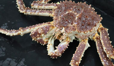 Genetic Diversity in Alaska Red King Crab May Provide Resilience to Climate Change
