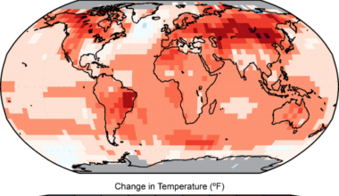 Michael Rattray: Planet’s Complex Climate Story Not Only About Carbon | Opinions