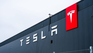 Tesla Points to Energy, Robotics Businesses As EV Sales Plummet