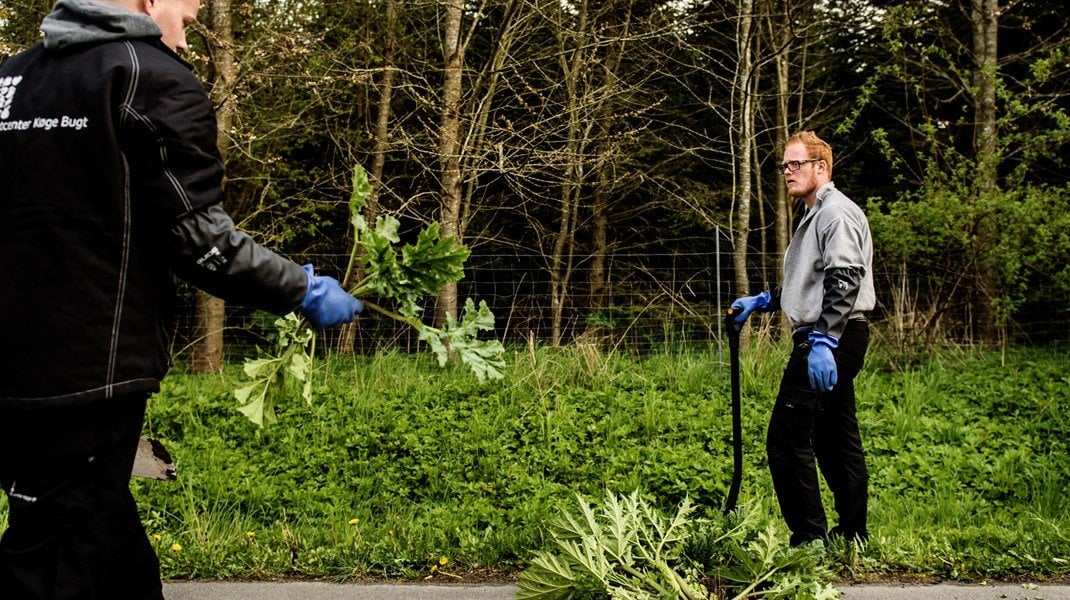 Ny forskning: Udsatte ledige får det værre af intensiv aktivering