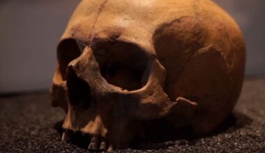 New DNA bone testing could completely rewrite British history, scientists claim