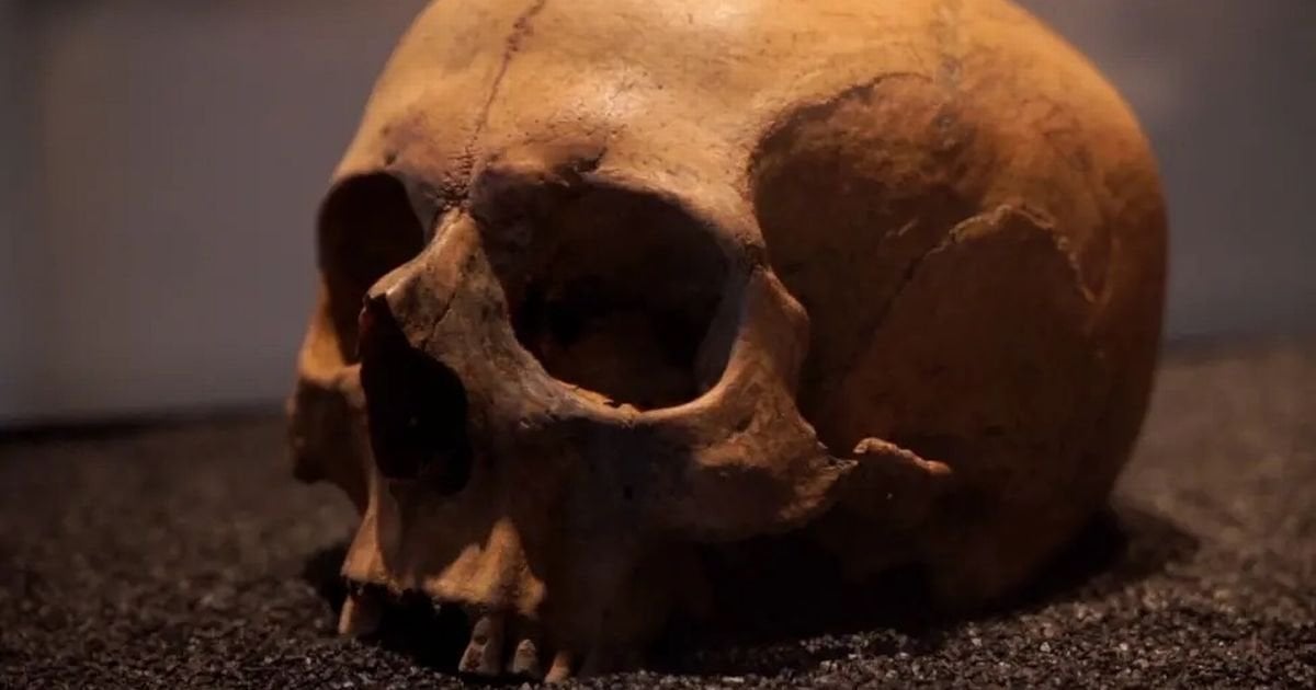 New DNA bone testing could completely rewrite British history, scientists claim