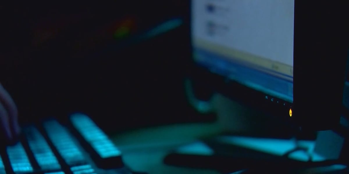 IT professional speaks on data security following HHSC privacy breach