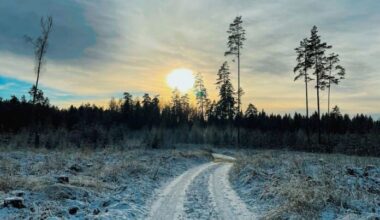 Cloudy days and some snow: weather to become colder until weekend in Latvia