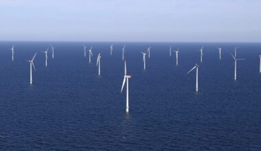 The Horns Rev 1 offshore wind farm