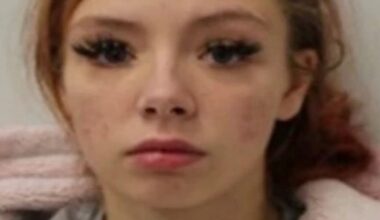 'I'm going to jail bro...I stabbed her 12 times' – words of babyfaced ringleader