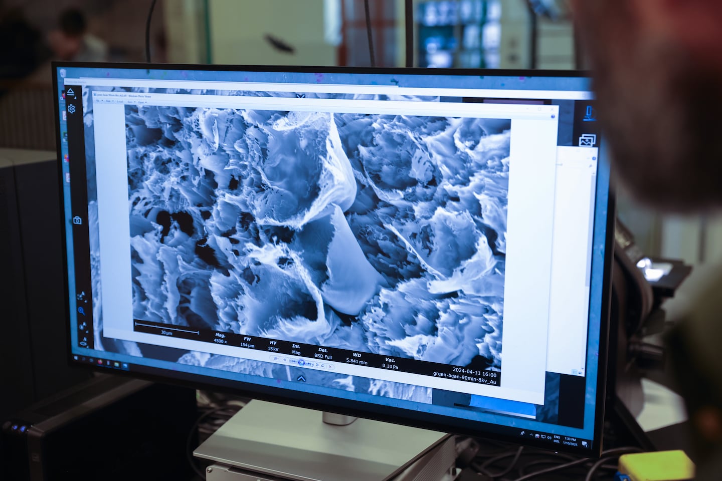 A coffee bean under an electron microscope at MIT.