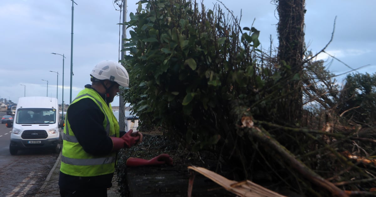 Repair crews from Austria, Finland arriving as some 180,000 remain without electricity – The Irish Times