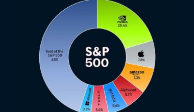 📈 The Magnificent Seven Propel 55% of S&P 500's 2024 Gains