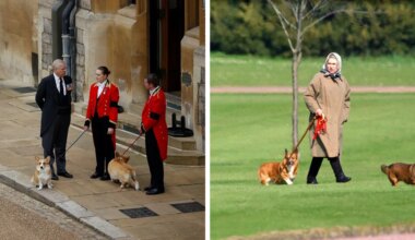 King Charles and Andrew's battle over the late Queen's corgis