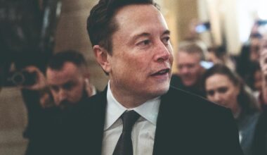 Quand Elon Musk fait turbuler l’Allemagne (et l’Europe)