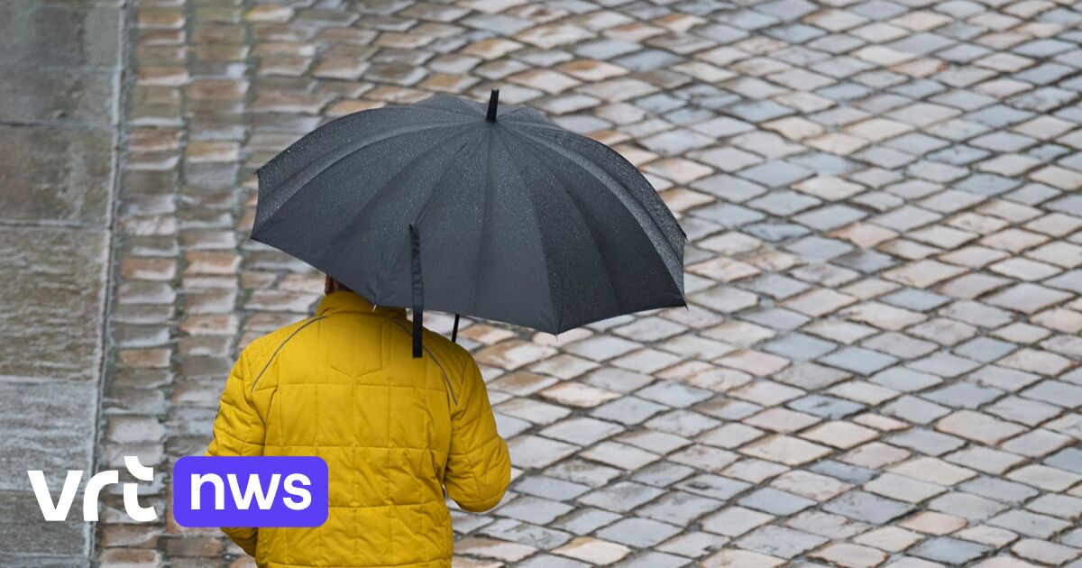 Stormdepressie Herminia brengt vanavond en vannacht alweer regen en vooral wind mee