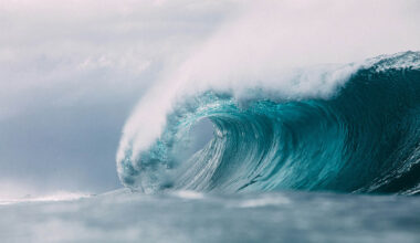 Lost at Sea and Shaking In My Surf Booties: A Baptism by Fire