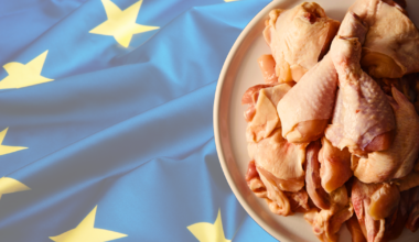 Diseased chicken entered UK after post-Brexit delays to border…