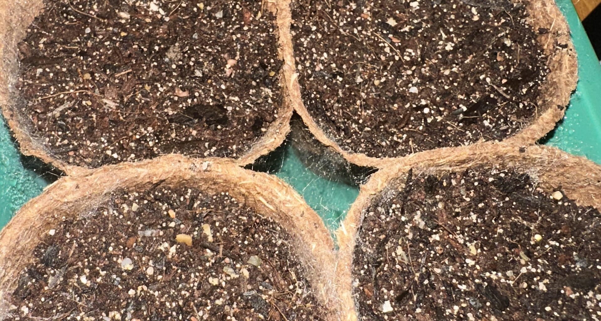 Anzuchttöpfe - Was ist das ?