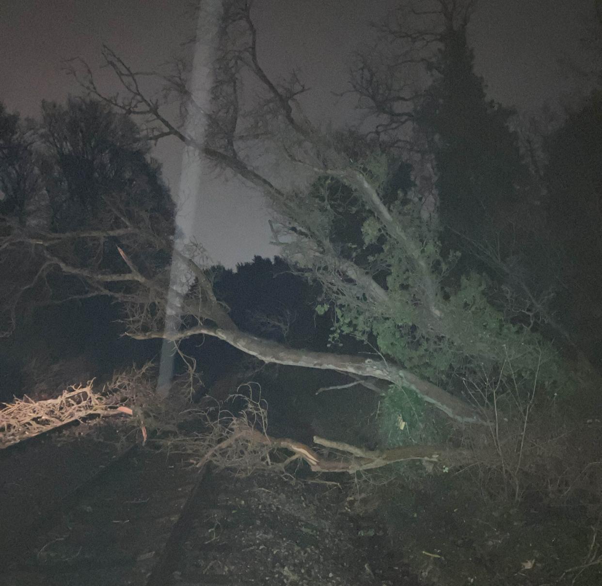 Network Rail Scotland engineers inspecting the route between Perth and Dundee earlier this morning found this fallen tree blocking both tracks. It’s now been cleared and inspections continue. (Network Rail Scotland/PA Wire)