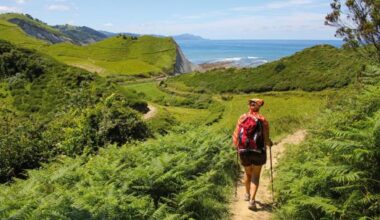 Slovenia, Bulgaria, Spain, and Beyond What Are the Booming Ethical Travel Experiences Shaping Sustainable Journeys, from Apitourism to Agritourism?