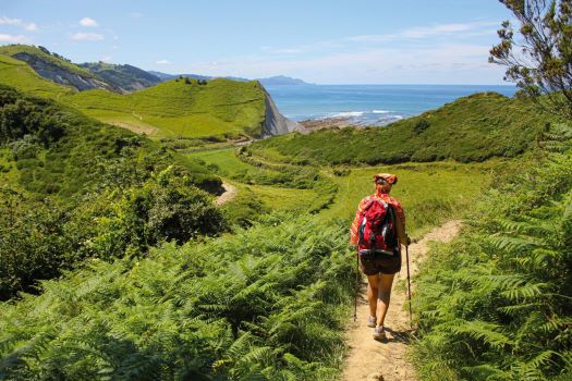 Slovenia, Bulgaria, Spain, and Beyond What Are the Booming Ethical Travel Experiences Shaping Sustainable Journeys, from Apitourism to Agritourism?