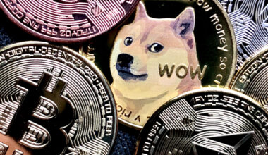 Making Sense of Meme Coins, Digital Assets and Crypto’s Future
