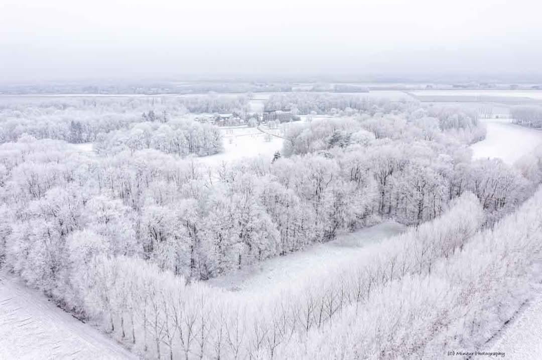 Snowy Hesbaye