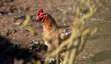 El Ministerio de Agricultura ha detectado un aumento del riesgo en un mayor número de comarcas.